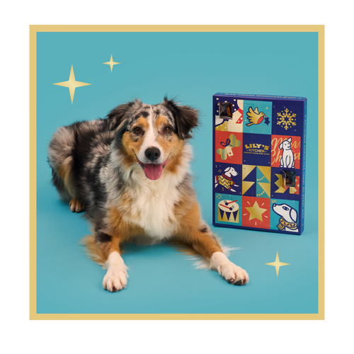 Lilys Kitchen Advent Calendar for Dogs