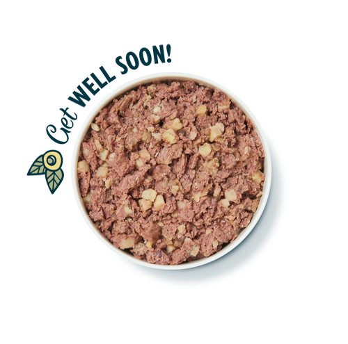 Lilys Kitchen Rest Up Recipe Wet Dog Food 400g