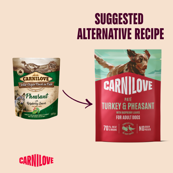 Carnilove Turkey & Pheasant with Raspberry Leaves Pate Dog Pouch 300g