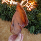 JR Pig Ear