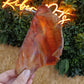 JR Pig Ear