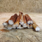 JR Jumbo Bull Pizzle 12cm