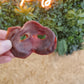 JR Natural Porky Bite