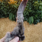 JR Natural Rabbit Ears with Hair Singles
