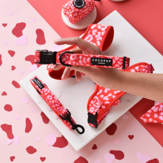 Cocopup London Red & Pink Leopard Dog Collar