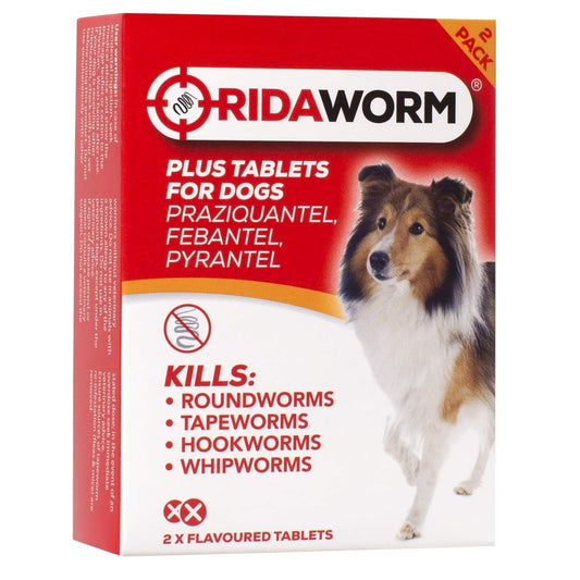 Ridaworm Flavoured Worming Tablets for Dogs and Puppies 2 Pack