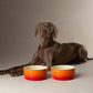 Scruffs Orange Ombre Pet Bowl