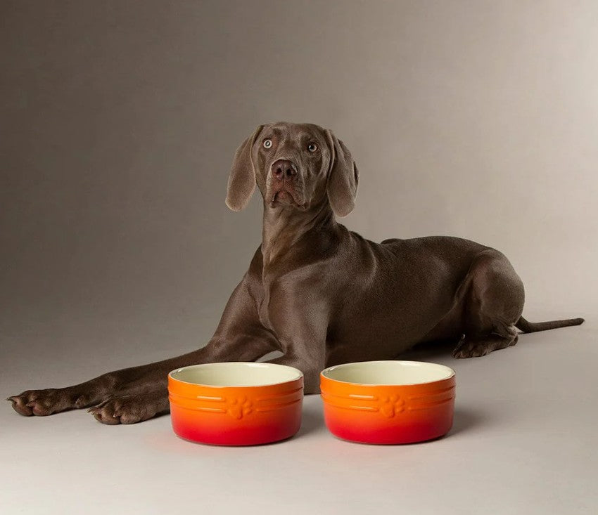 Scruffs Orange Ombre Pet Bowl