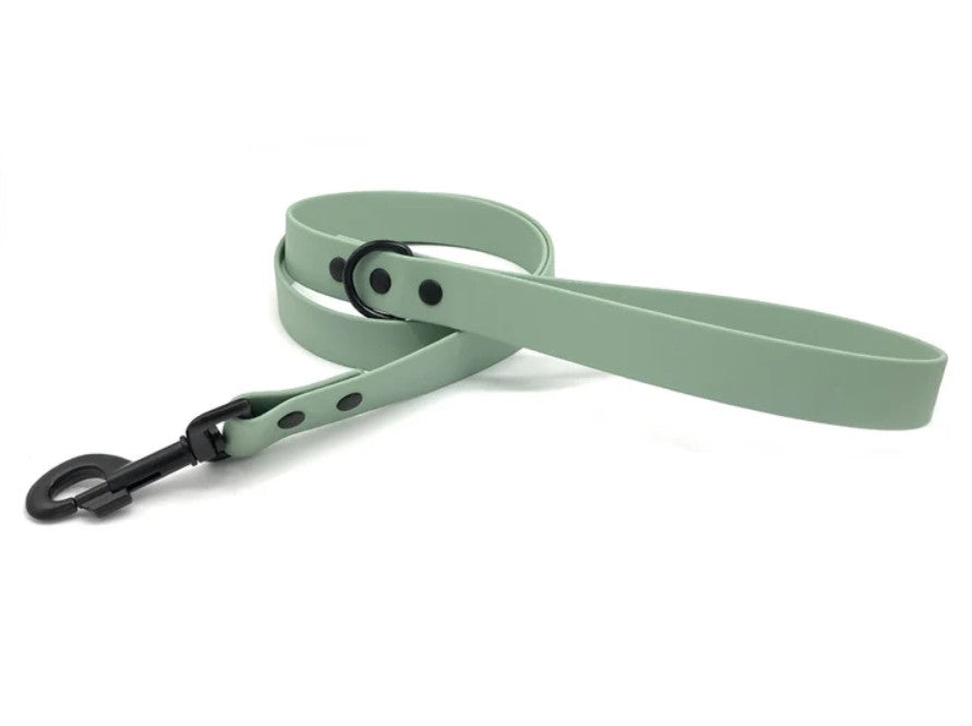 Ditsy Pet Sage Biothane Lead Small/Medium