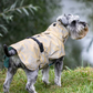 Sotnos Technical Reflective Raincoat