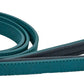 Sötnos Brights Aquatech Teal Dog Lead Large / X Large