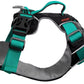 Sötnos Travel Safety & Dog Walking Harness Teal