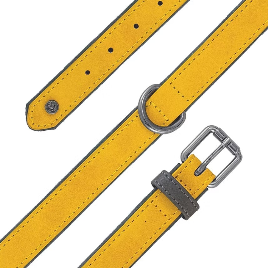 Sötnos Brights Aquatech Mustard Yellow Dog Collar X Small