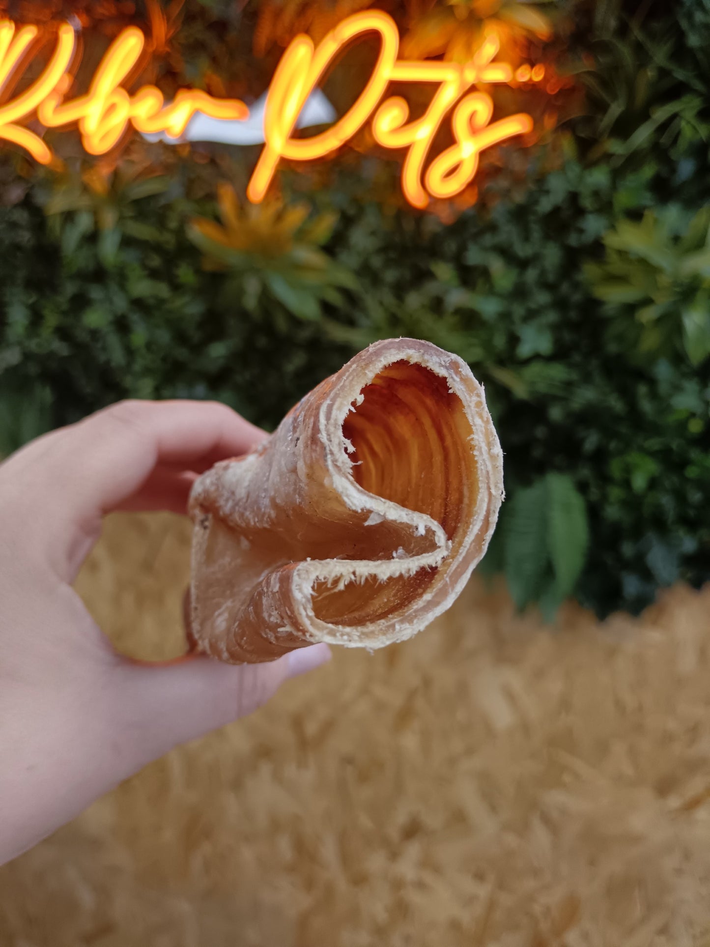 JR Beef Trachea