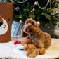 Rosewood Tufflove Christmas Reindeer Dog Toy
