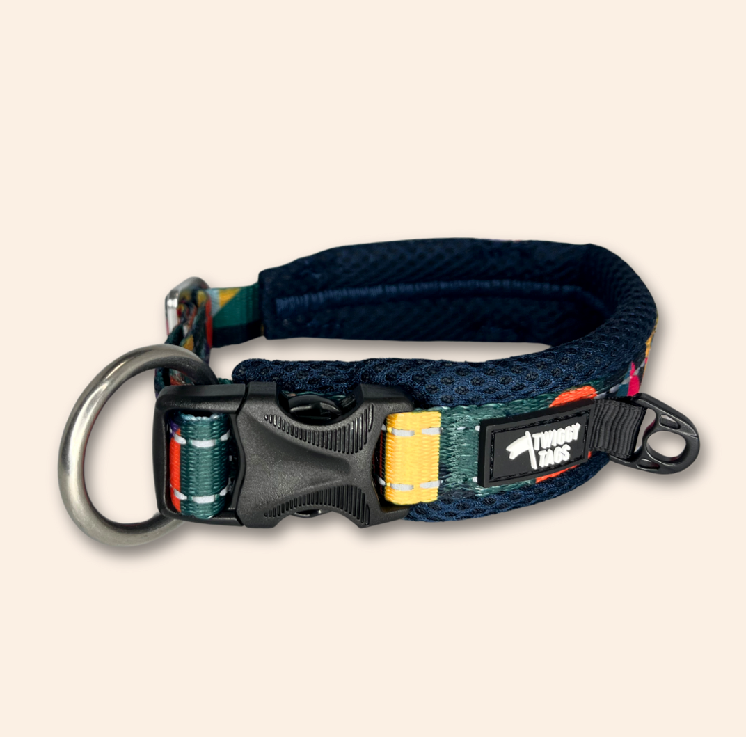 Twiggy Tags Aurora Adventure Collar
