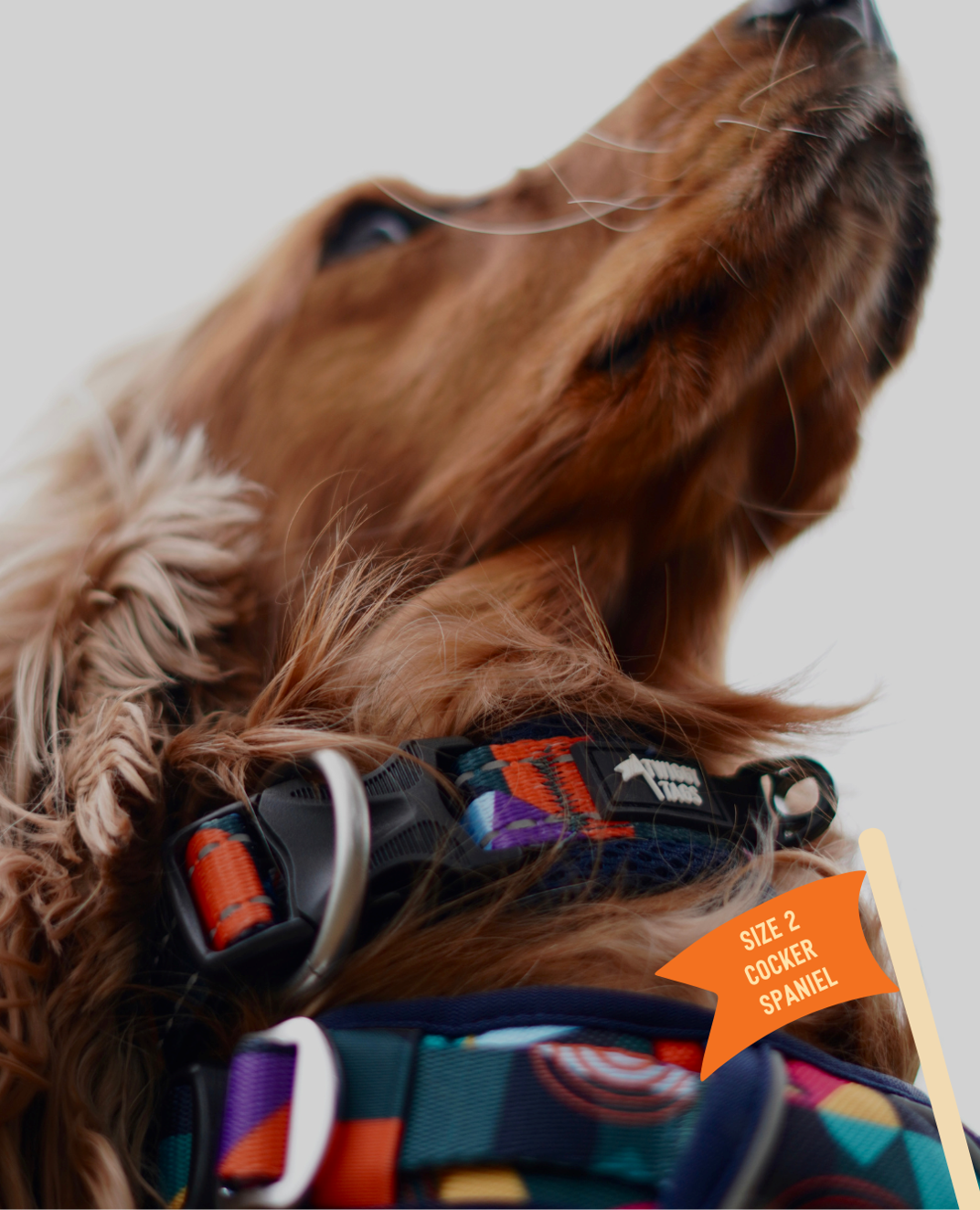 Twiggy Tags Aurora Adventure Collar