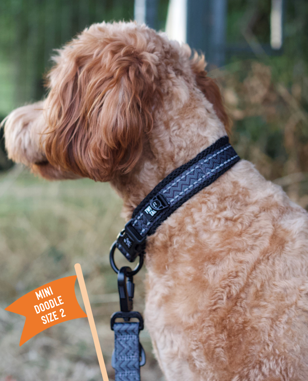 Twiggy Tags Petrichor Adventure Collar