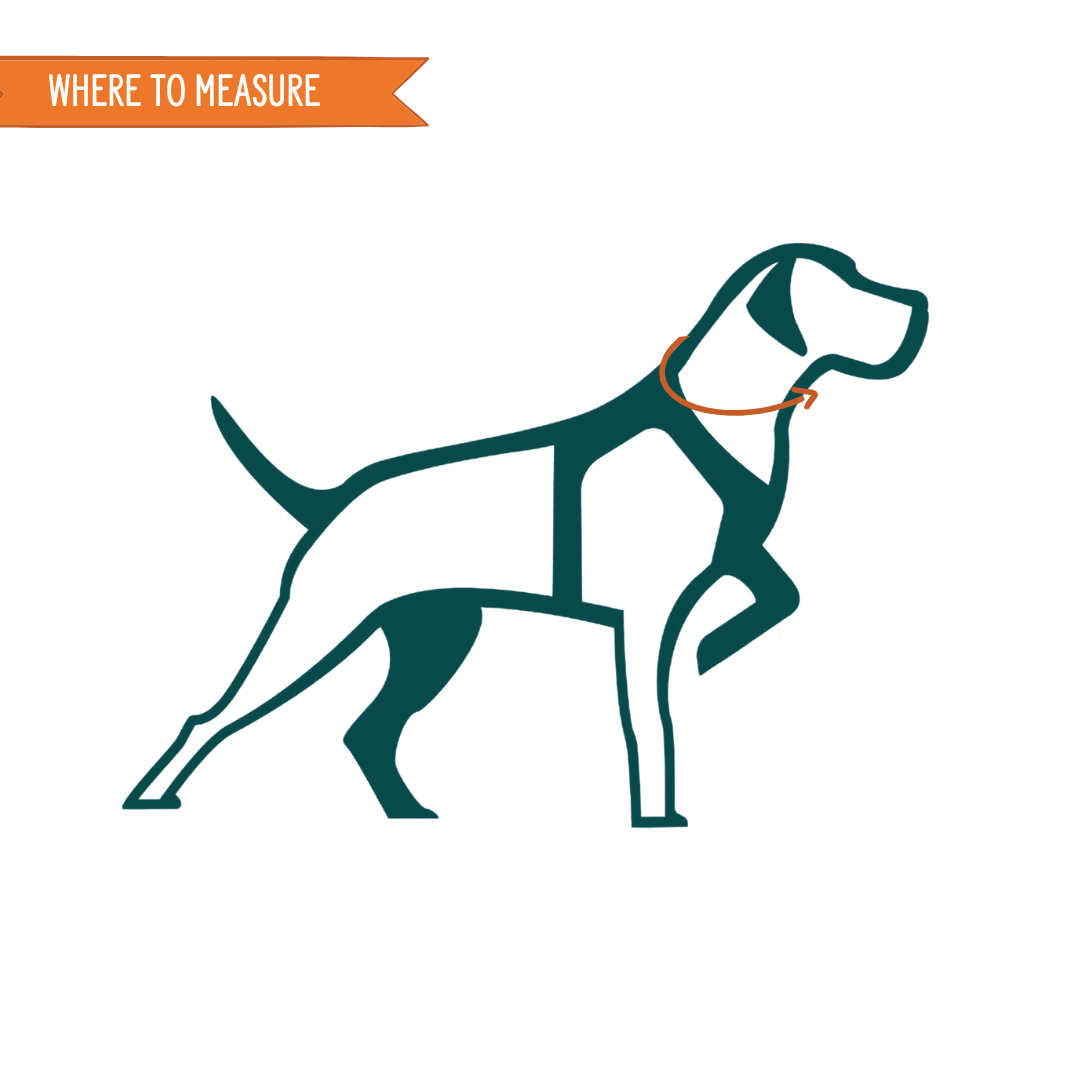 Twiggy Tags Petrichor Adventure Collar