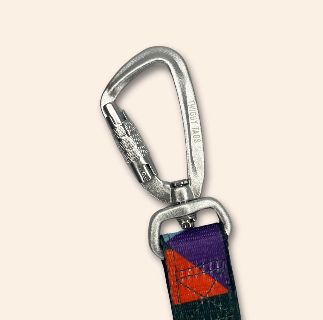 Twiggy Tags Aurora Adventure Lead