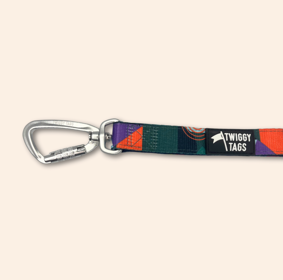 Twiggy Tags Aurora Adventure Lead