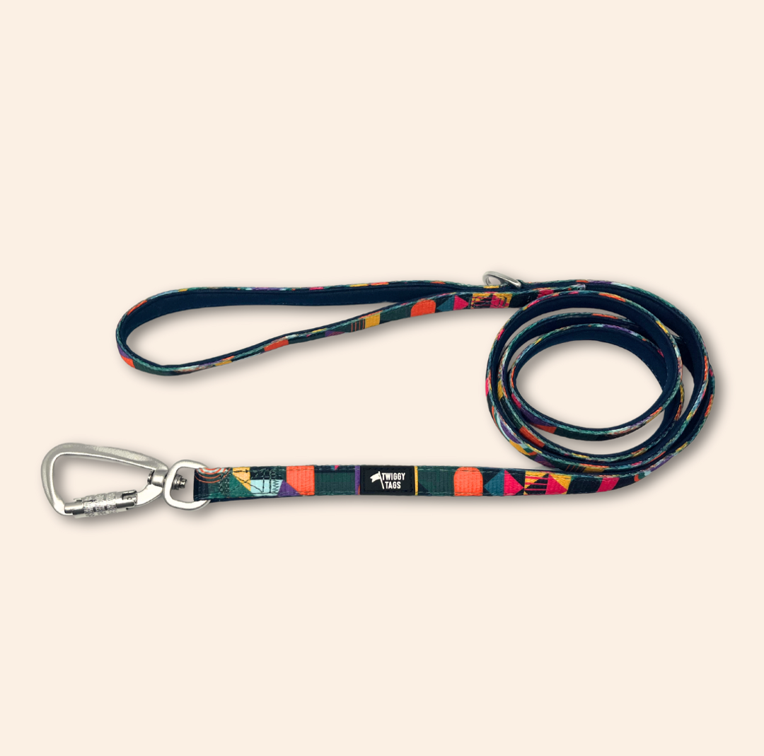 Twiggy Tags Aurora Adventure Lead