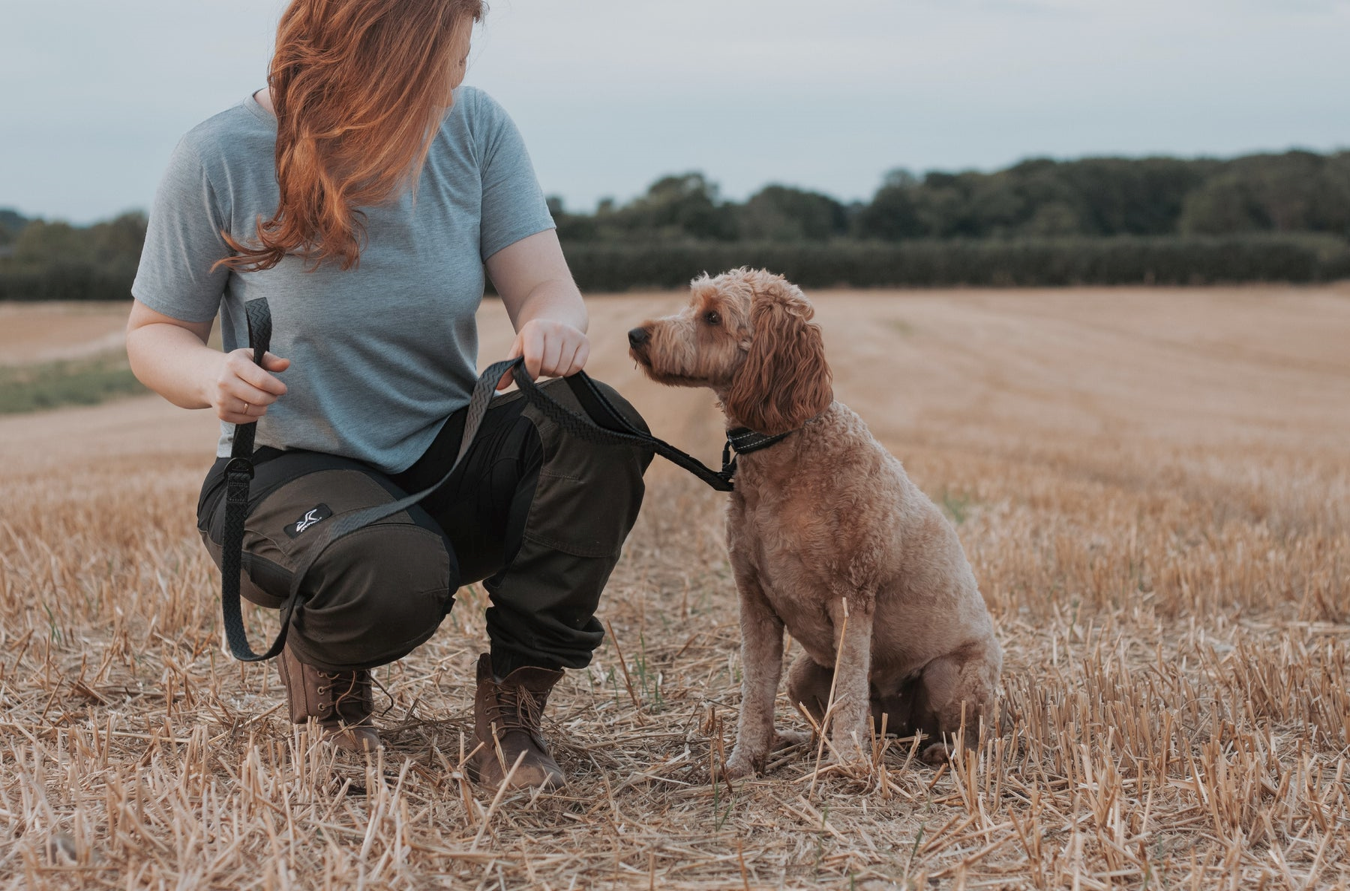Twiggy Tags Petrichor Adventure Lead