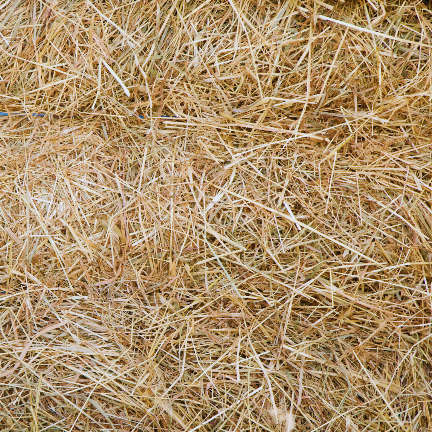 Natural Loose Fill Hay 1kg