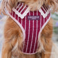 Cocopup Knitted Cherry Bakewell Harness