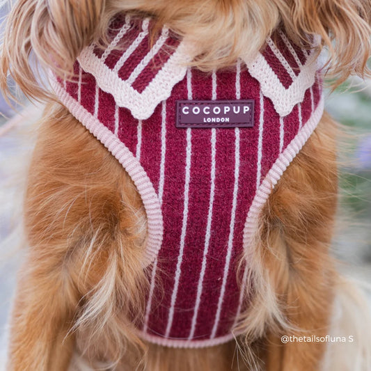 Cocopup Knitted Cherry Bakewell Harness