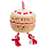 House of Paws Birthday Cake with Rope Dog Toy