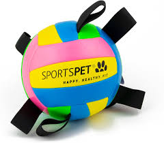 Sportspet Tab Volleyball Size 4