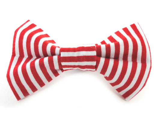 Ditsy Pet Oh Buoy! Bow Tie