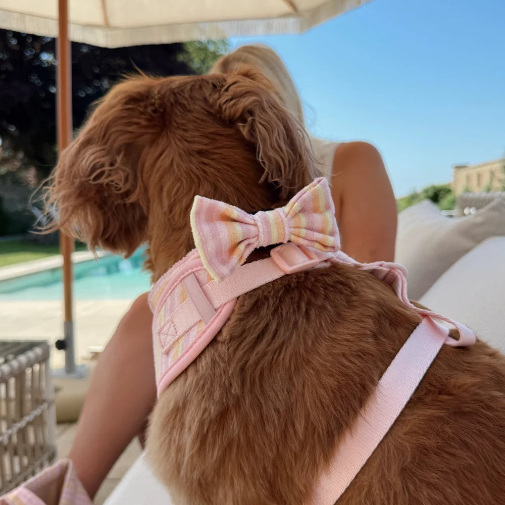 Cocopup London Pastel Stripes Dog Bow Tie