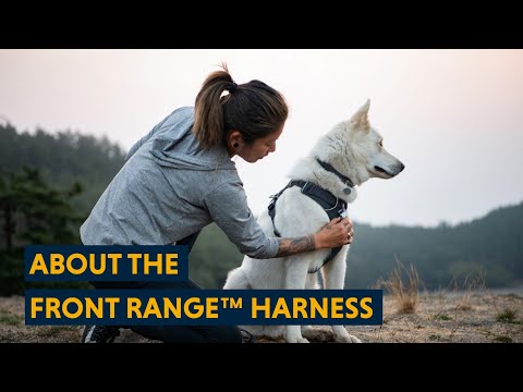 Ruffwear Front Range Harness Spring Mountain