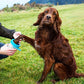 Henry Wag Pet Paw Cleaner