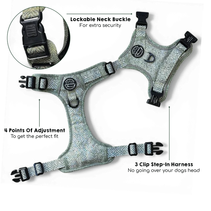 Pawsome Paws Boutique Country Thyme Harness