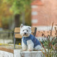 Trixie Ajou Winter Coat Blue