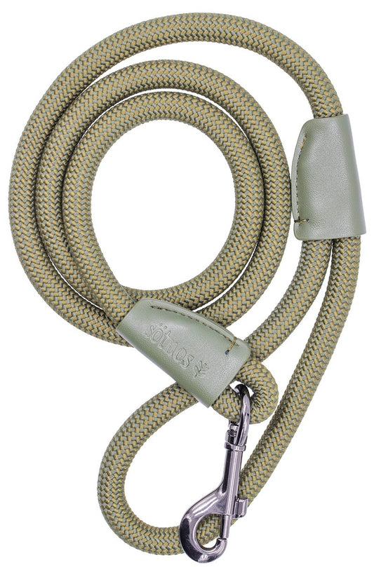 Sötnos Earth Aware Trigger Dog Lead Green