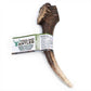 Whole Deer Antlers