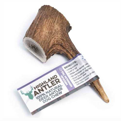 Whole Deer Antlers