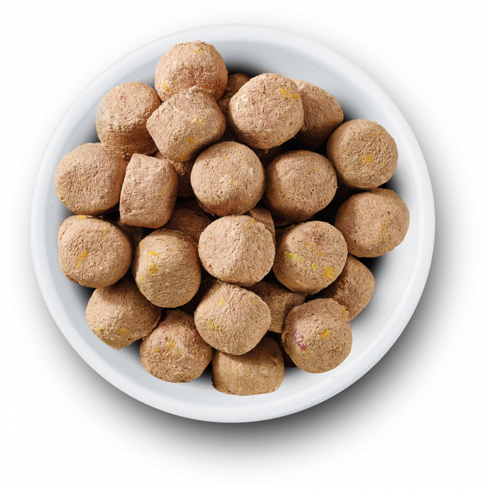 Freeze dried discount raw dog food