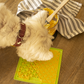 Lickimat Classic Buddy Treat Mat