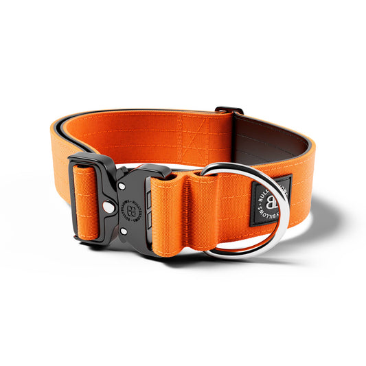 BullyBillows Combat Collar v2.0 Orange