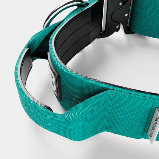 BullyBillows Combat Collar v2.0 Turquoise