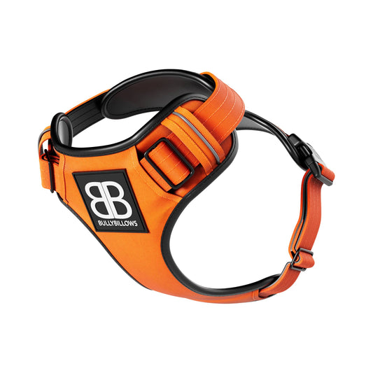 BullyBillows Premium Comfort Dog Harness Orange