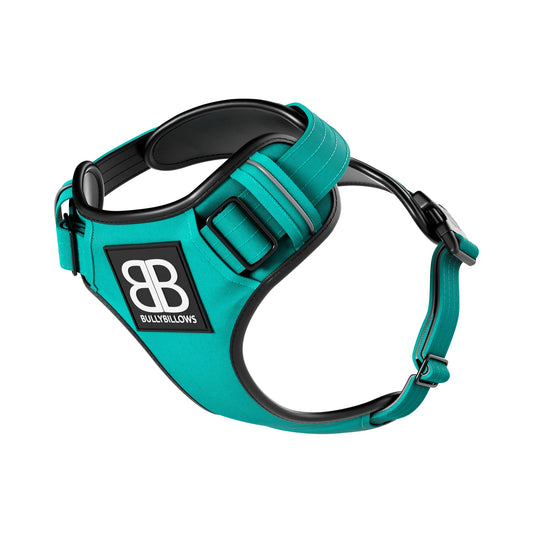 BullyBillows Premium Comfort Dog Harness Turquoise