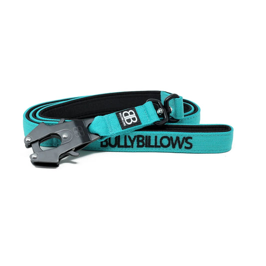 BullyBillows Swivel Combat Dog Lead Turquoise
