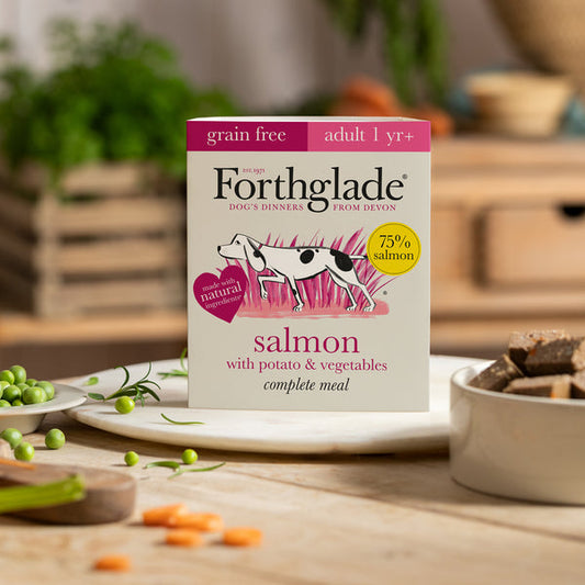 Forthglade Salmon with Potatoes & Vegetables Wet Dog Food Tray 395g