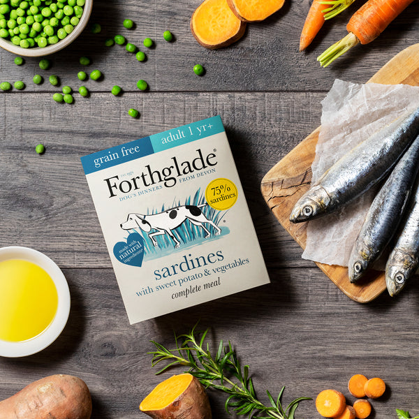 Forthglade Sardines with Sweet Potatoes & Vegetables Wet Dog Food Tray 395g
